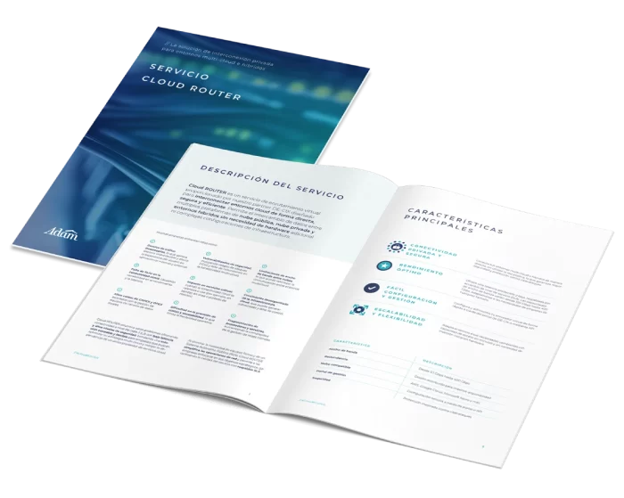 mockup ficha técnica cloud router adam data center